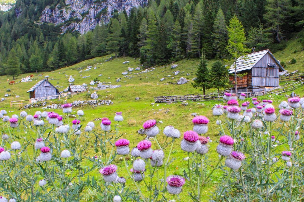 Cottage House Podgosar Bled Pokljuka Εξωτερικό φωτογραφία