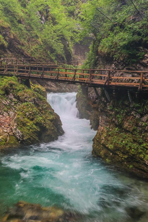 Cottage House Podgosar Bled Pokljuka Εξωτερικό φωτογραφία