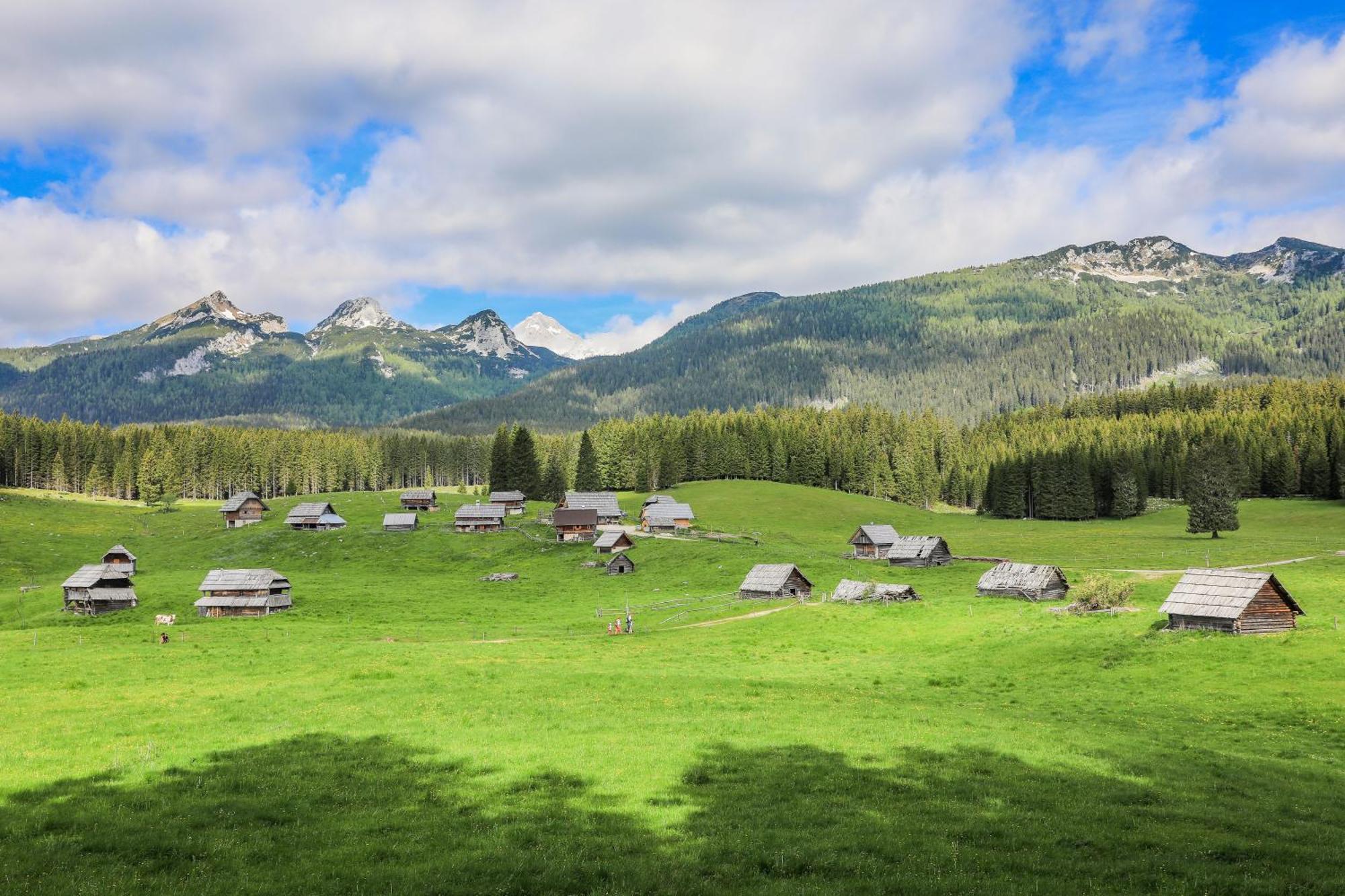 Cottage House Podgosar Bled Pokljuka Εξωτερικό φωτογραφία